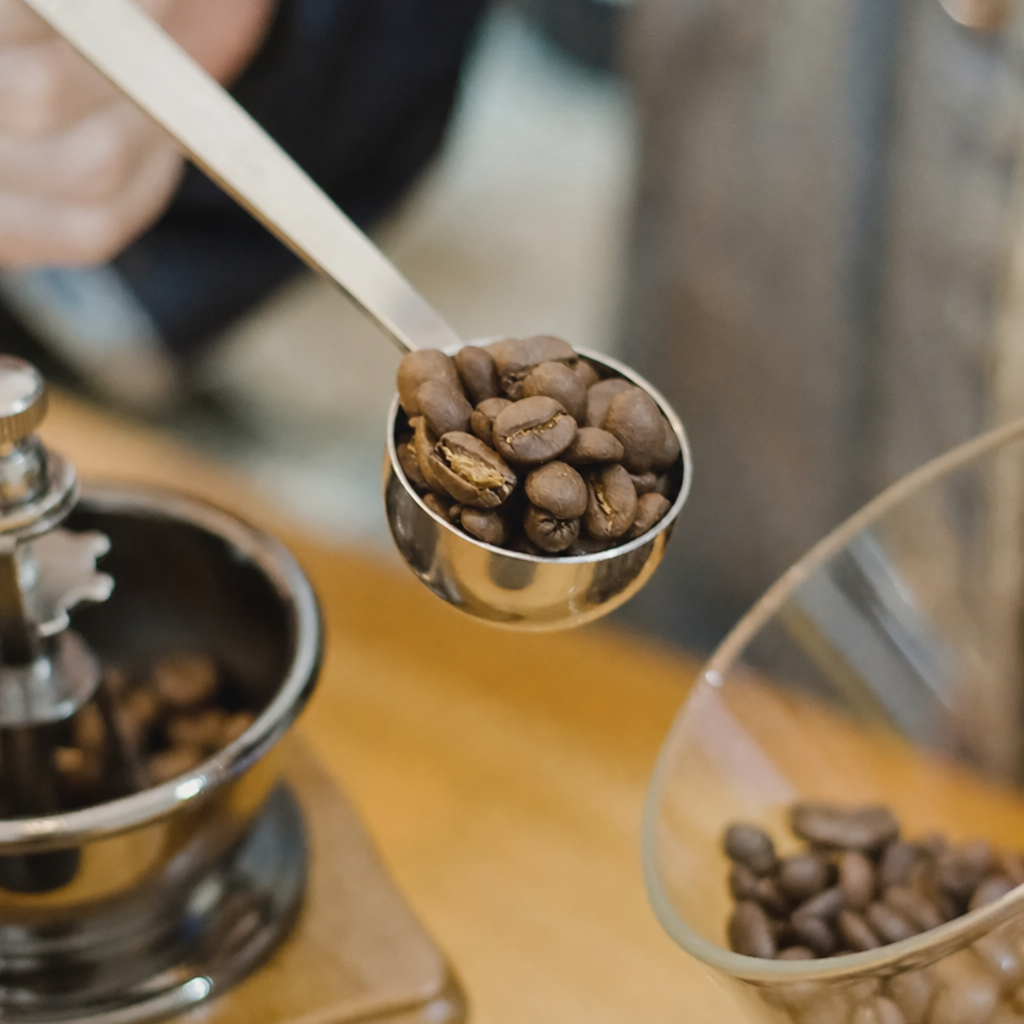 Long-Handle Stainless Coffee Scoop, 15 ml